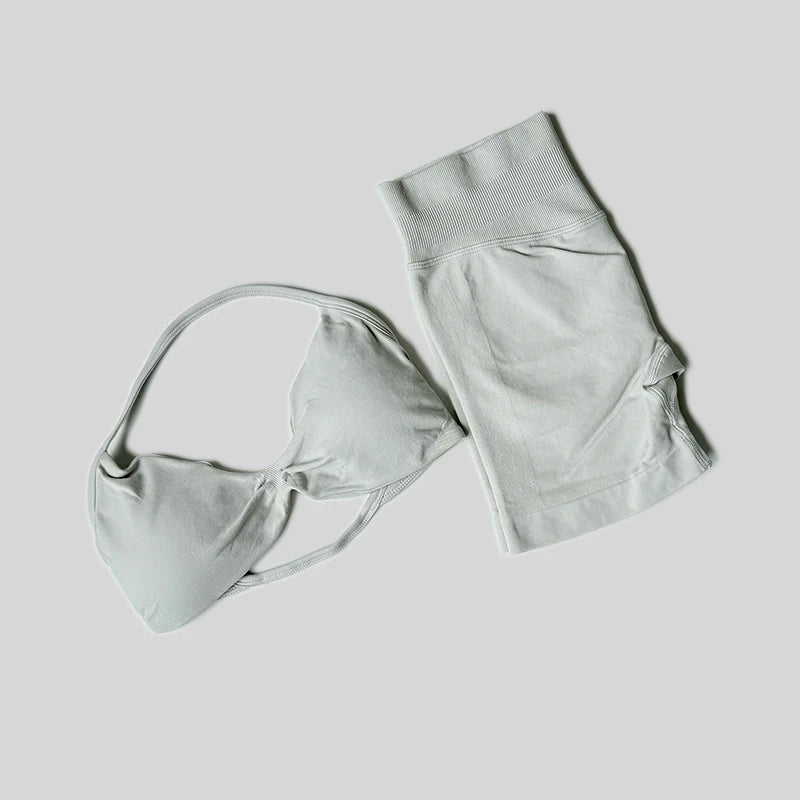 2 piece gym set.